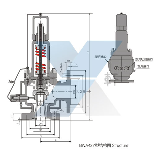 BWA42Y保温波纹管背压平衡全启式安全阀