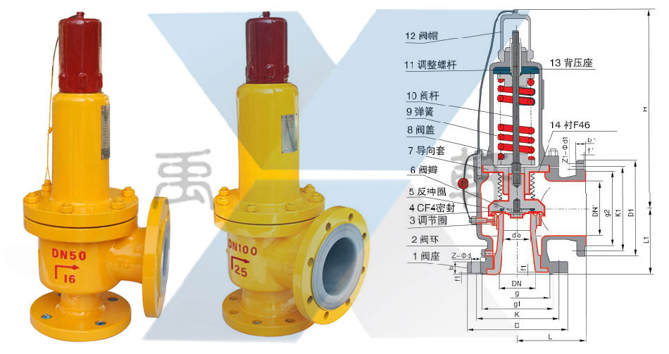 A42F46-16C-DN40液氯专用衬氟安全阀(图1)